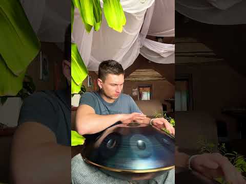 Butterfly dance #hangmassive #handpan #steelpan #darbuka #beats #rhythm