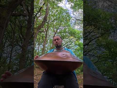 I love the handpan and in nature #music #handpanmusic #handpan