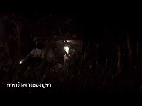 การเดินทางของมุทา Handpan#อยู่กับก๋ง ในสวนบ้านจอหอ โคราช