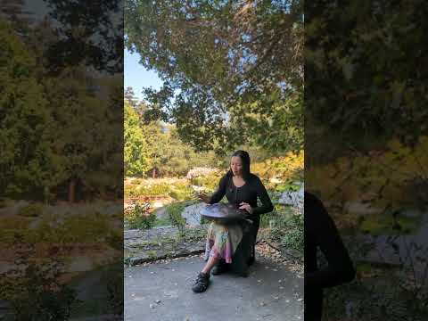 at the rose garden#handpan C minor meraki 19 #handpanmusic #atmosphericmusic