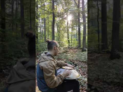 Handpan A2 Low Hijaz in the Mountains