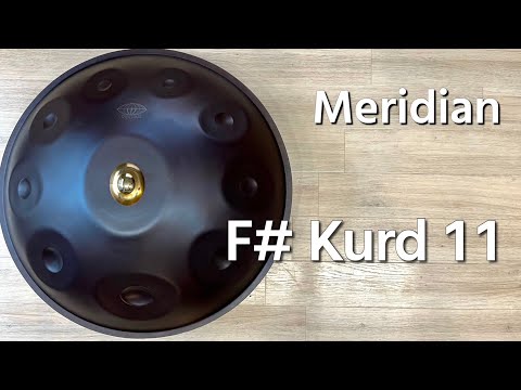 【ハンドパン販売】Meridian / F# Kurd 11 試奏 1