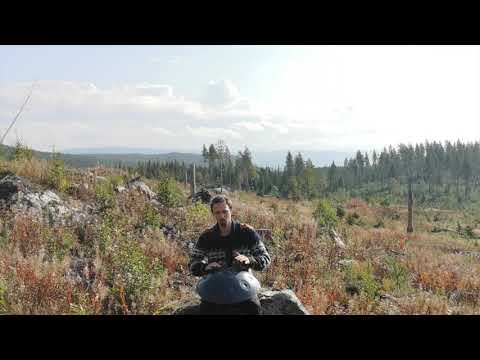 Handpan in the forests of Jämtland (Part 2 of 3)