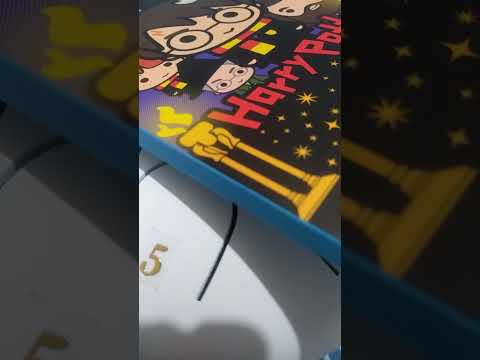 Double Loop Harry Potter Theme D-Kurd Handpan Drum