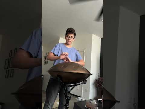 Meinl Sonic Energy Handpan Han pan Hand Drum D-Kurd 10 Tone Slef taught 5 month 12 Years Old
