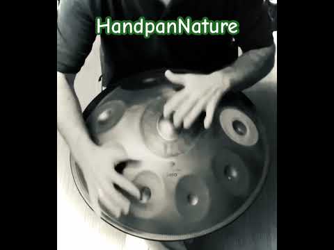 Kleiner Ausflug auf der Handpan D Kurd (Edelstahl)