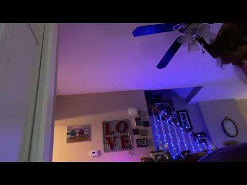 New Melody with Ysha Savita Pansmith Handpan