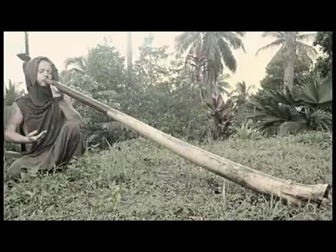 MEDITATION DIDGERIDOO with CHANGEBLE MOUTHPEACES