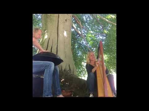 magically met with Sann and her harp for our first sessions under a huge old beech