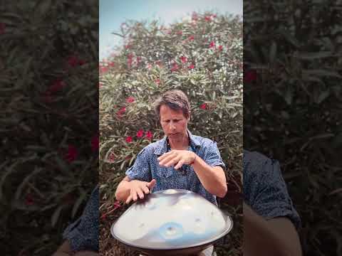 Oleander | Alwin Steinle | Handpan La Sirena  #handpan #handpanmusic #music #intuition #handpan
