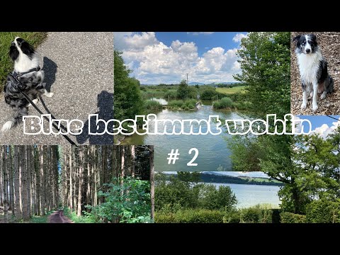 Seeumrundung mit Handpanklängen, Teil 2 / Lake circumnavigation with handpan sounds, part 2