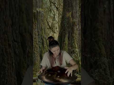 When a Handpan Wanders Into an Enchanted Forest | Planet Ding