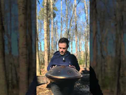 Playing handpan in the woods is my favorite thing #handpansound #handpan #handpanclass #handpanmusic