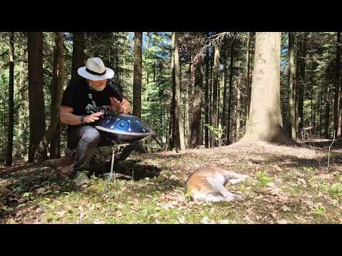 handpan D Minor