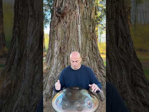 Sequoia Songs Handpan❤️ #handpan