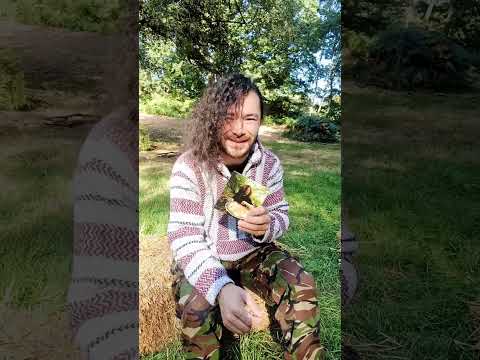 The story behind my first song on the handpan...