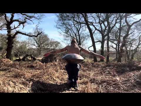 Handpan: Epping Forest Healing Meditation (Sound Bath in F# Low Pygmy)