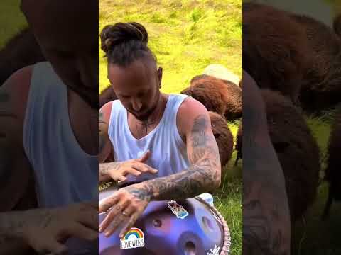 Happy Teachers Day 🙏 #handpan #soulful #mesmerizing #music #artist #beautiful