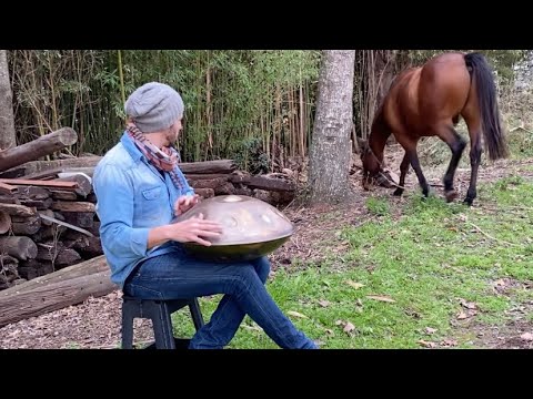 Música en Campo La Clementina