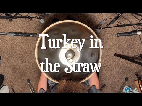 Folk Song - Turkey in the Straw (handpan cover)