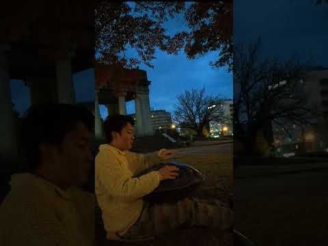 「Twilight 」F low pygmy 17 Handpan​ #handpan #percussion #drum #ハンドパン #ドラム #shorts