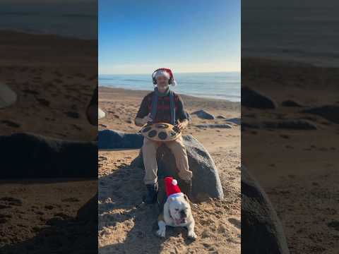 Are you feeling festive yet? 🌲A little beach trip with @neotone.digitalhandpan#handpan #neotone