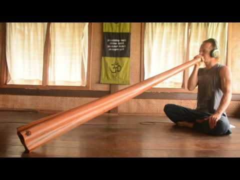 DIDGERIDOO FROM BLOOD WOOD EUCALYPTUS 189 CM -  D#