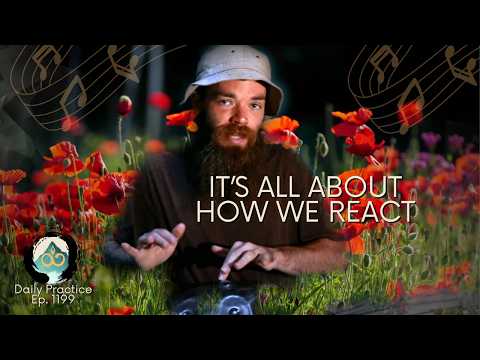 Right Relationship to Our Problems | Guided Breathwork Meditation | Ep. 1199