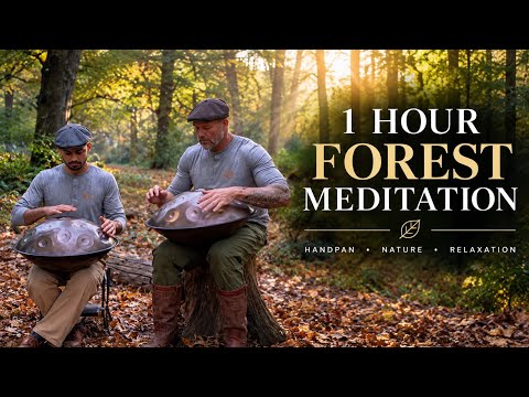 1 Hour Forest Meditation with The Handpan Gentlemen