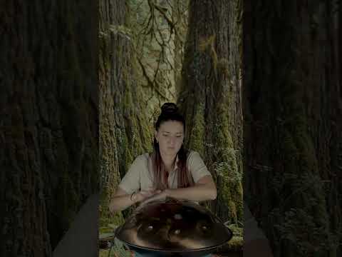 A Handpan Melody From a Magical Forest | Planet Ding