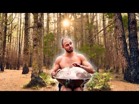 The Scorched Forest Echoes | Handpan MEDITATION