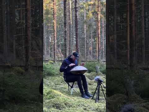 Handpan D-kurd