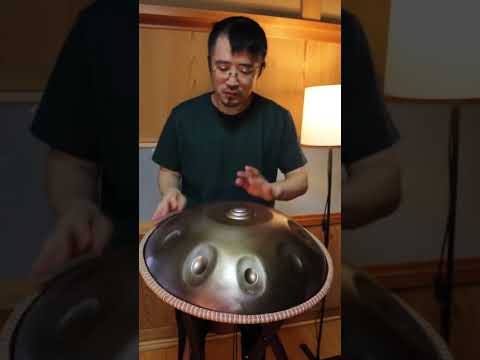 D Amara scale Handpan #ハンドパン #handpan #percussion #手碟 #핸드팬 #hangdrum