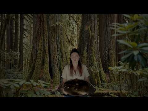 Imaginative Handpan Music in an Enchanted Forest | 1 Hour of Original Improvisation | Planet Ding