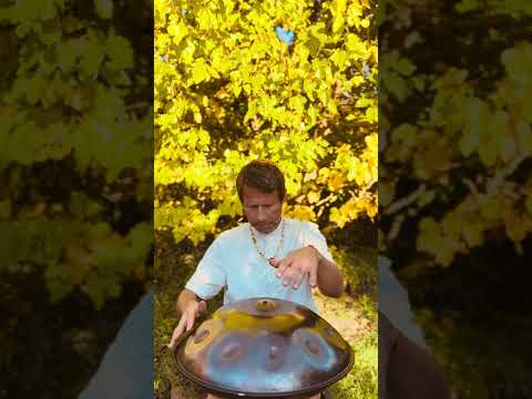 Introspection | Alwin Steinle | Handpan Omana #handpan #handpanmusic #music #introspection #flow