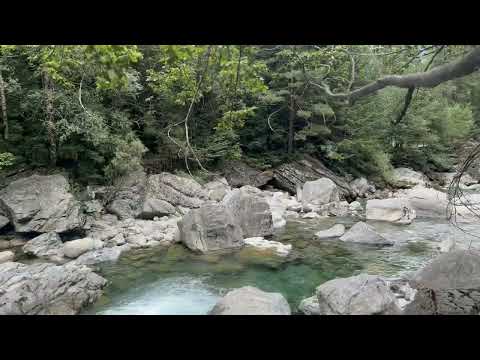 Aliwen Neira | All that remains | Ayasa Instruments D Aegean 20 | Handpan Music for the Soul