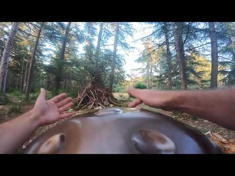 Handpan A3 - 14 notes - Juste LA !