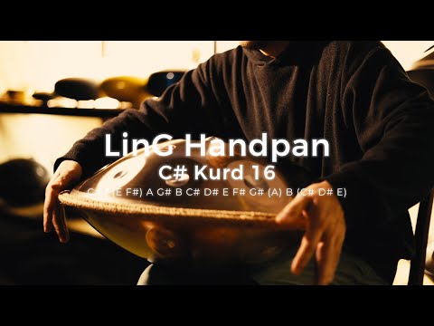 【レンタルハンドパン】LinG Handpan / C# Kurd / minor 16