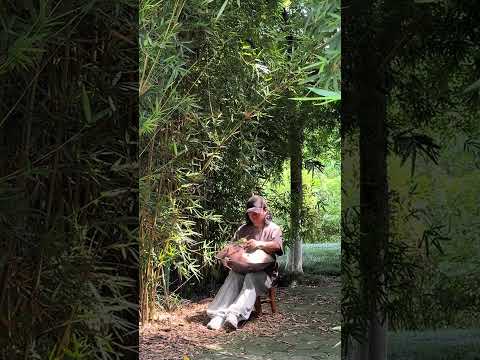 手碟版《訣別書》氛圍感滿滿,實在太有味道了Handpan Cover of Farewell Letter Is Full Of Emotion#handpan#music#youtubeshorts