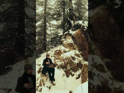 Transylvania | Alwin Steinle | Handpan Omana #handpan #handpanmusic #flow #transyslvania #romania