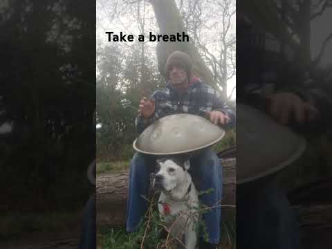 Handpan Meditation #foryou #fyp #handpan #meditation #soothing #dogs #original #new #short #shorts