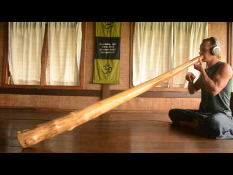 Didgeridoo from eucaliptus yellow box 182 cm - C#