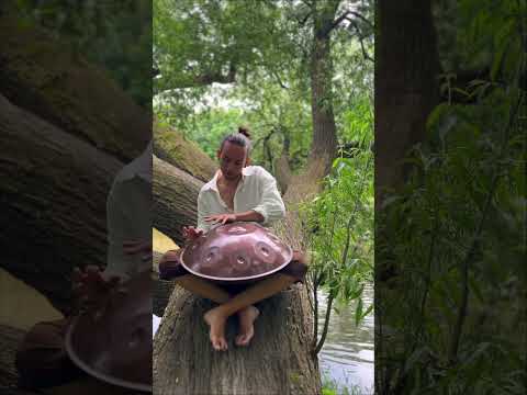 @mrpansinstruments D Ashakiran [Handpan Music]