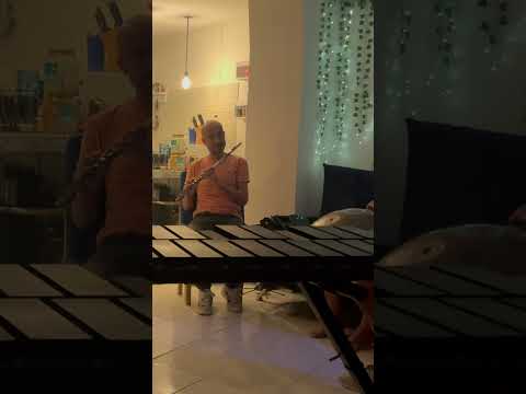 Fluye con el Sonido: Percusión para el Alma 🎶