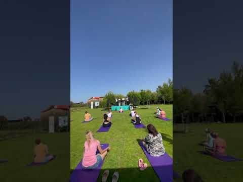 #handpan #yoga #yogamusic #orchestra #handpanmusic #music
