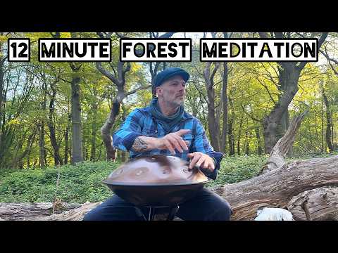 12 Minute Handpan Meditation - Relaxing Forest Music For Stress Relief