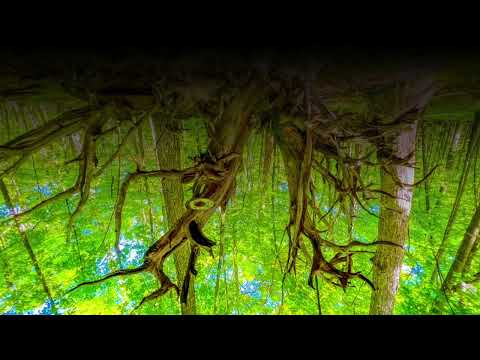 Low Frequency A# (432Hz) 1-Hour BACKGROUND DEEP BASS Sounds for MEDITATION| DEEP FOCUS | DEEP SLEEP