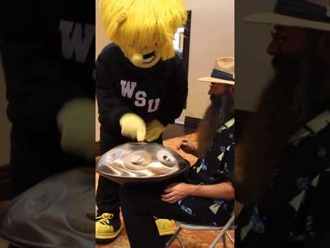 Wu from WSU tried playing handpan! 🌾🛸 #WichitaState #WSU #Wu #mascot #oxford #handpan #handpandan