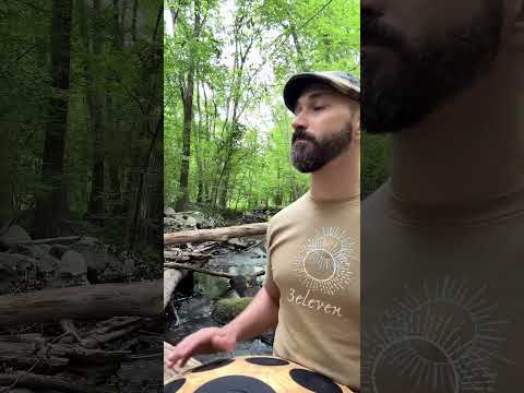 Neotone Hijaz & Birdsong #handpan #nature #wildlife #outdoors #432hz #hangdrum #handpanmusic #river