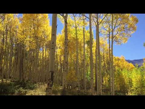 Top of the Rockies - The Arcadian Earth